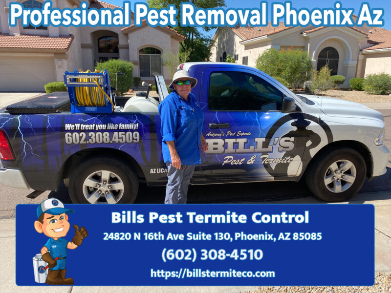Professional Pest Removal in Phoenix Az