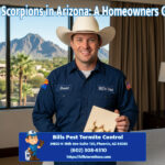 Baby Scorpions in Arizona A Homeowners Guide