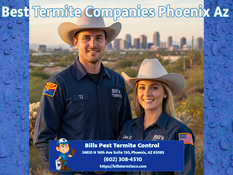 Best Termite Companies Phoenix Az