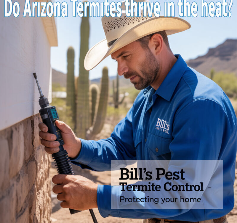 Do Arizona Termites thrive in the heat?