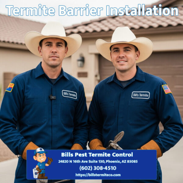 Best Termite Barrier Installation Company
