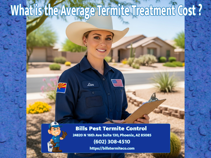 What is the Average Termite Treatment Cost Phoenix AZ?