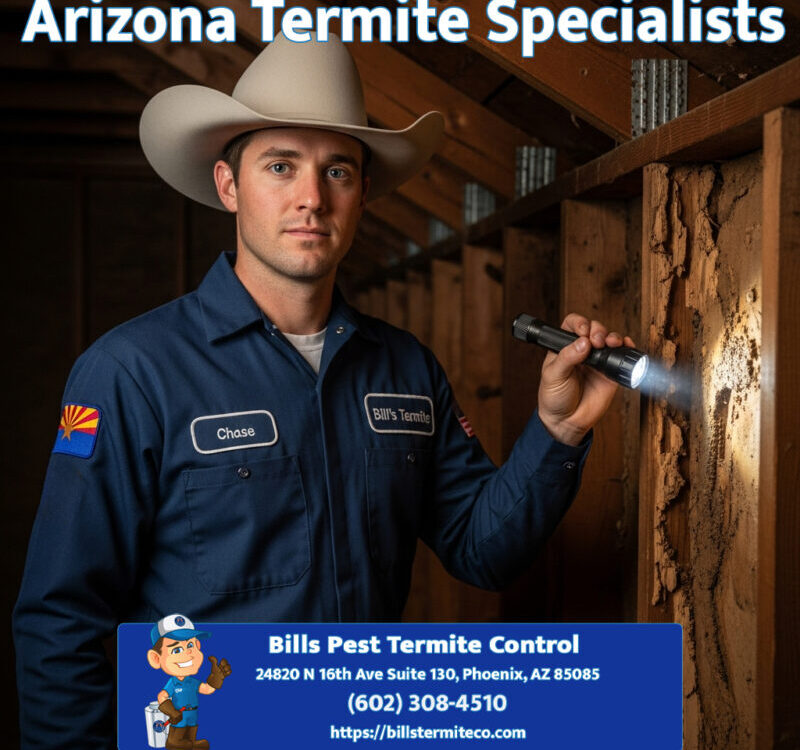 Arizona Termite Specialists