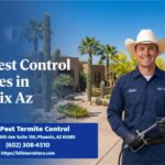 Best Pest Control Services in Phoenix Az