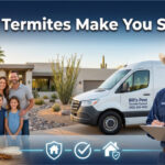 Can Termites Make You Sick?