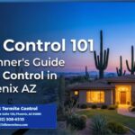 Pest Control 101- A Beginner's Guide to Pest Control in Phoenix AZ