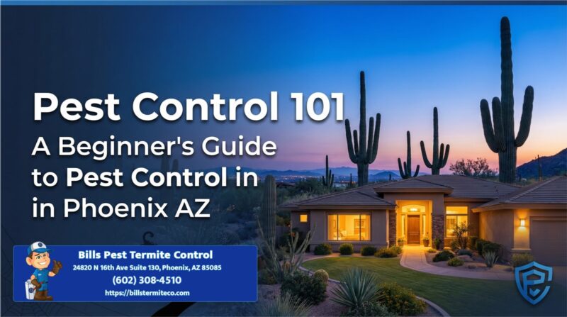 Pest Control 101- A Beginner's Guide to Pest Control in Phoenix AZ