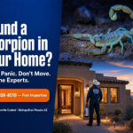Found a Scorpion in Your Phoenix Home?