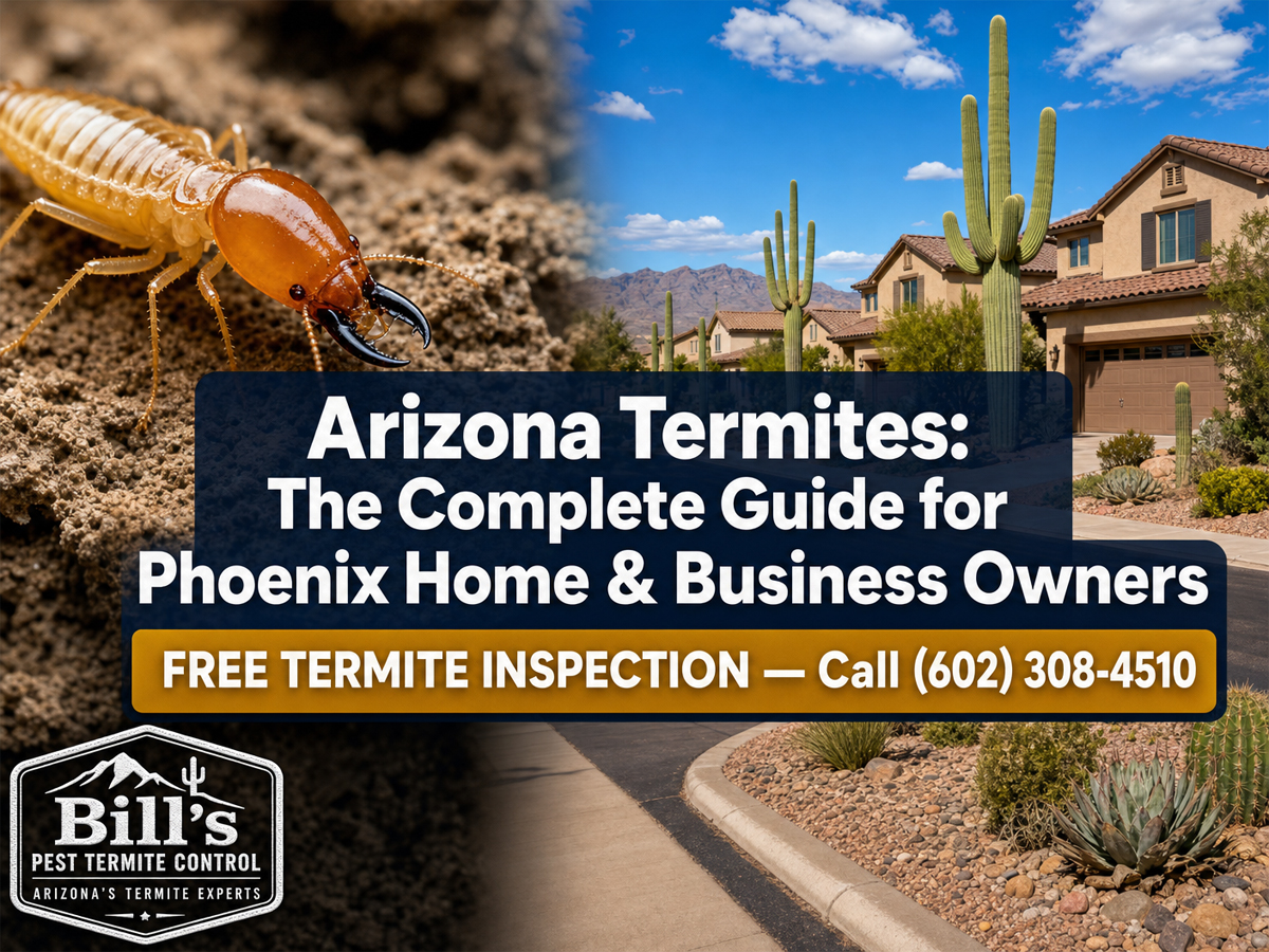 Arizona Termites