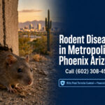 Rodent Diseases in Phoenix Arizona