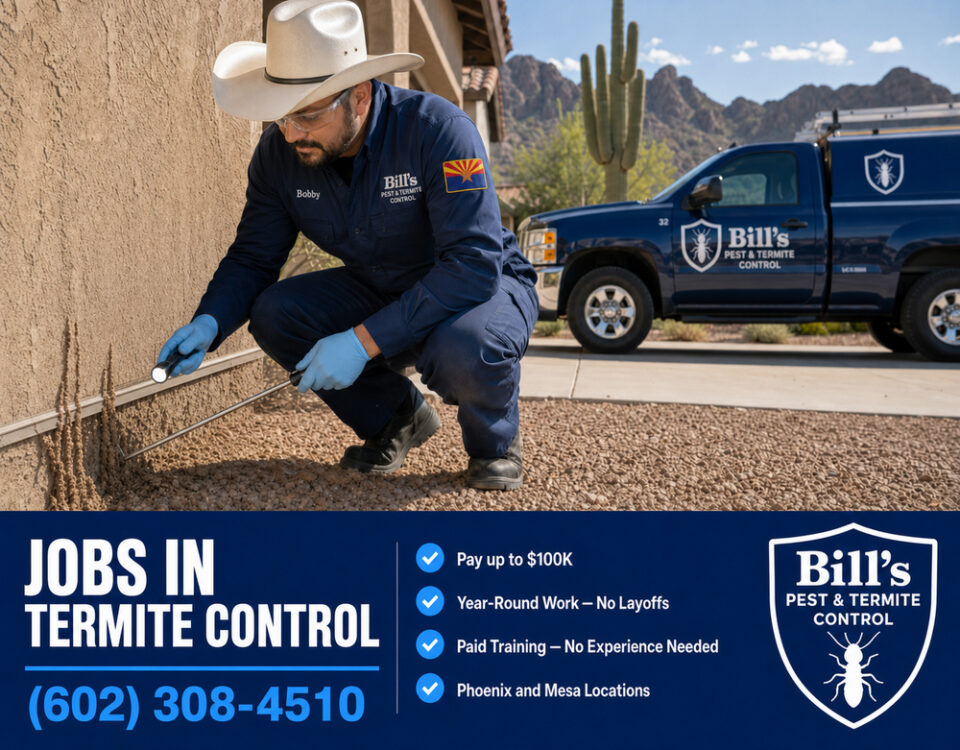 Best Jobs in Termite Control | Bill's Pest Termite Control