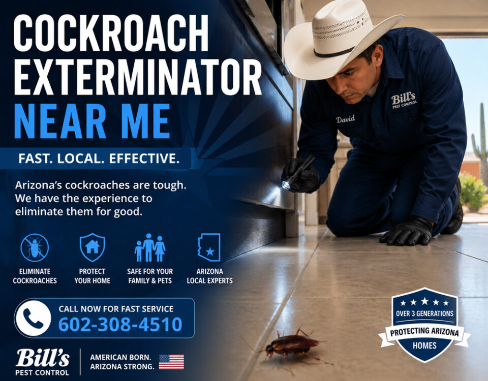 Cockroach Exterminator Near Me | Bills Pest Termite Control
