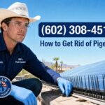 How to get rid of Pigeons in Phoenix Az | Bill's Pest Termite Control