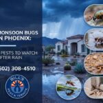 Monsoon Bugs in Phoenix- 5 Pests to Watch After Rain