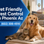 Pet Friendly Pest Control in Phoenix AZ | Bill's Pest Termite Control
