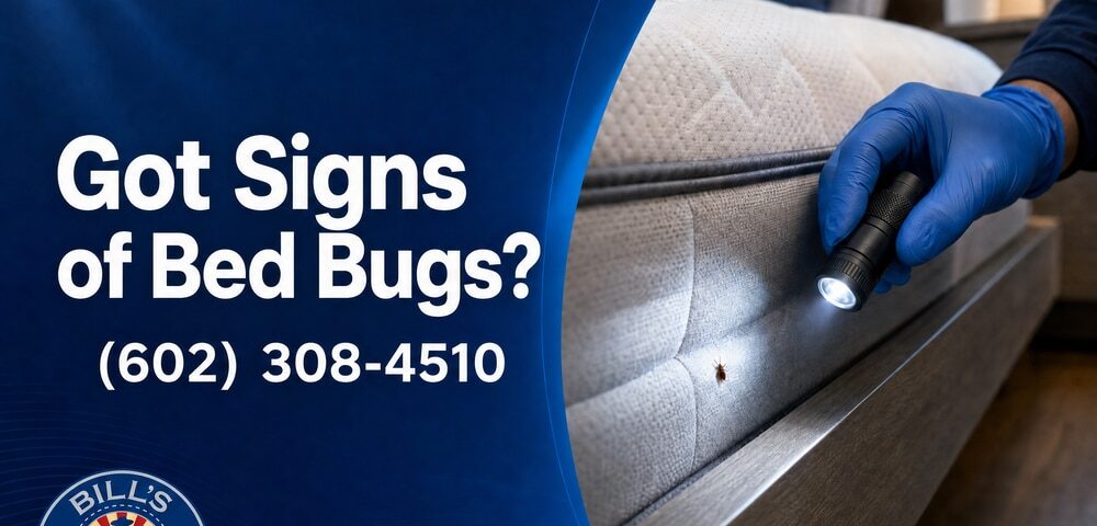 Signs of Bed Bugs in Phoenix Az- What to Look For and Do Today!