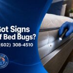 Signs of Bed Bugs in Phoenix Az- What to Look For and Do Today!