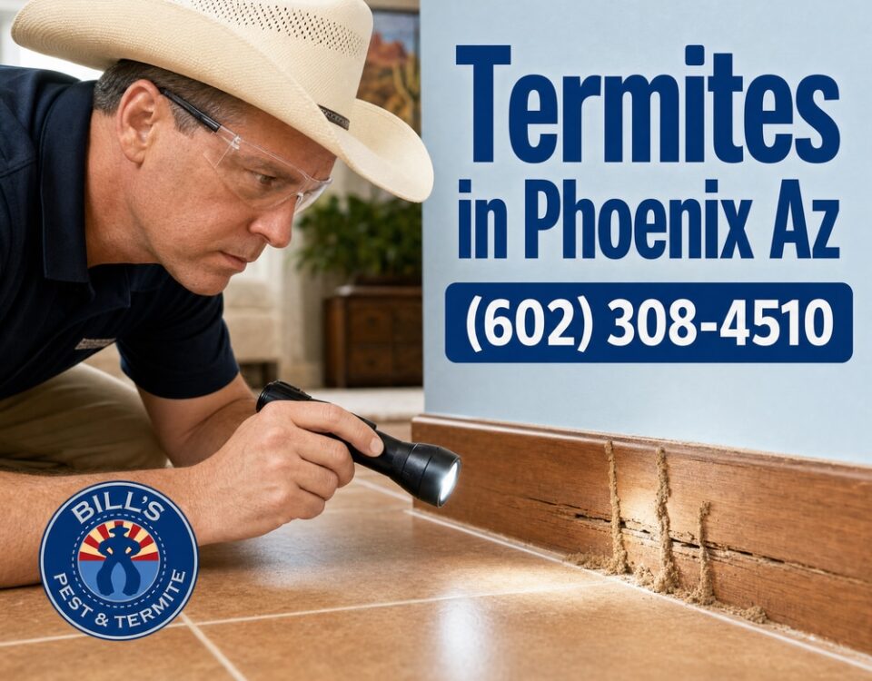 Termites in Phoenix Az | Free Inspection | Bills Pest Termite Control