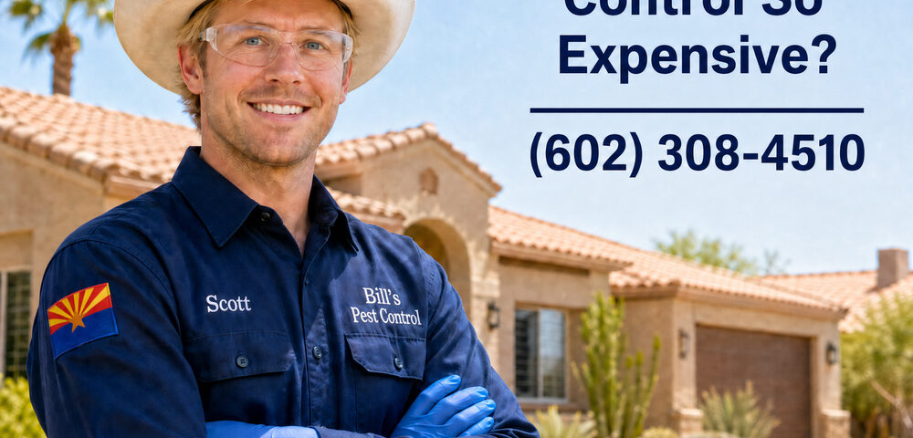 Why Is Termite Control So Expensive? | Phoenix Arizona Guide