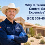 Why Is Termite Control So Expensive? | Phoenix Arizona Guide