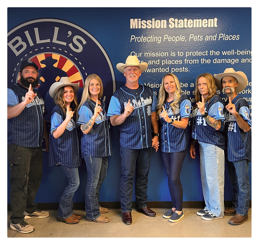 bills team