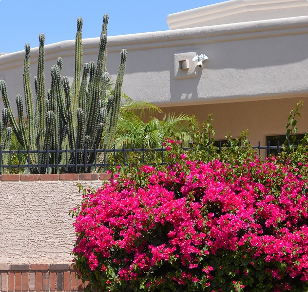 arizona home