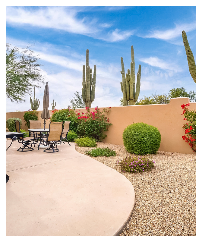 arizona backyard